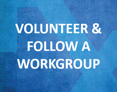 volunteer and follow a workgroup